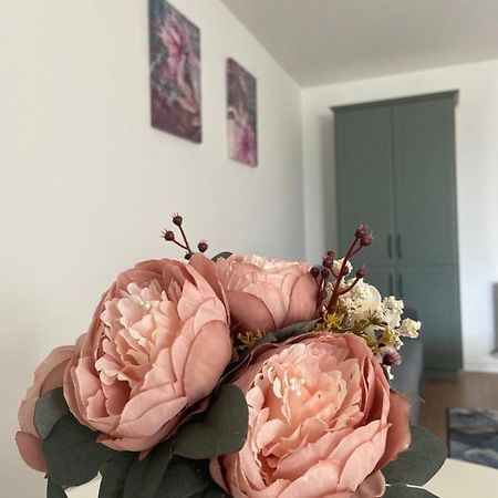 Focus Apartament Floresti  Luaran gambar