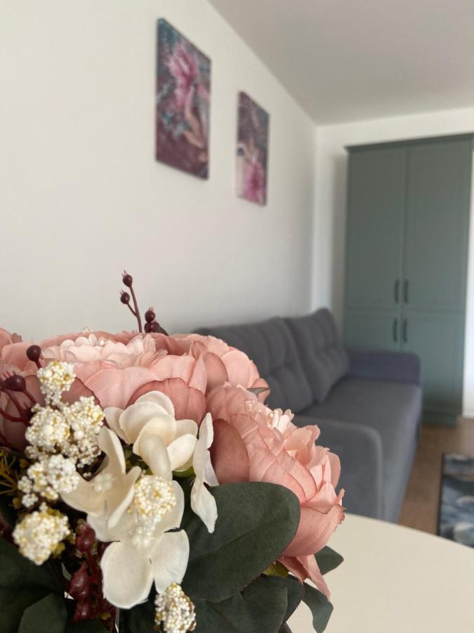 Focus Apartament Floresti  Luaran gambar